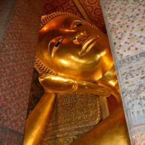 Image00040