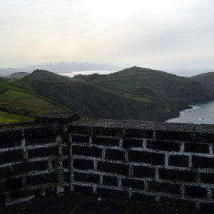 DSC 0795