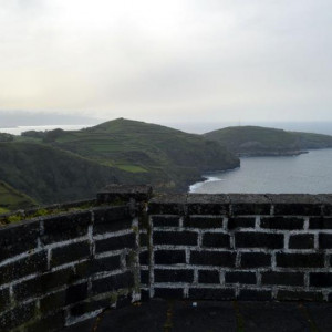 DSC 0801