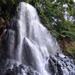 DSC 0838