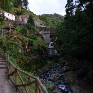DSC 0874
