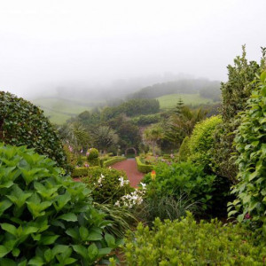 DSC 0891