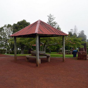 DSC 0901