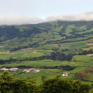 DSC 0934