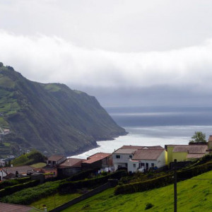 DSC 0954