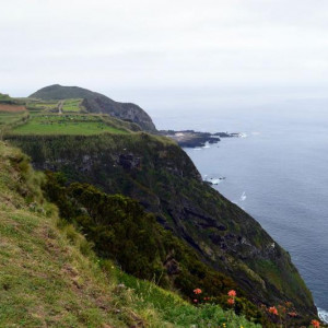 DSC 1206