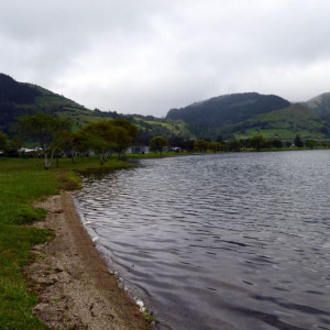 DSC 1214