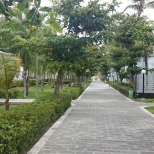 DSC 0087