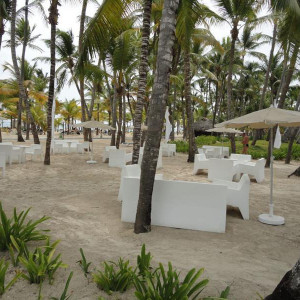 DSC08719