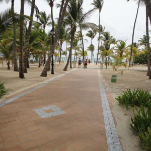 DSC08721