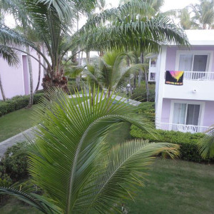 DSC08754