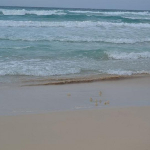 Cabo Verde, Boavista - passeio com Emiterio Lima