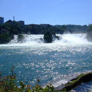 DSCF6266