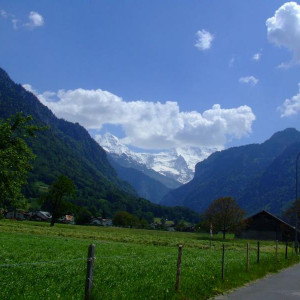 DSCF6349