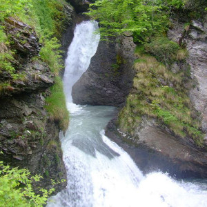 DSCF6573.JPG