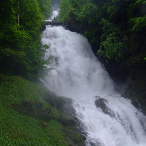 DSCF6585.JPG