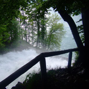 DSCF6602.JPG