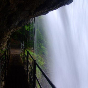 DSCF6610.JPG