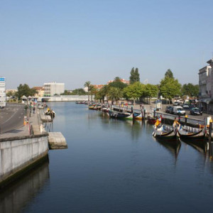 IMG_7614.JPG