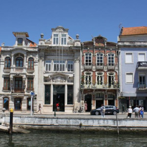IMG_7862.JPG