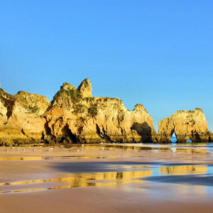 PRAINHA 018