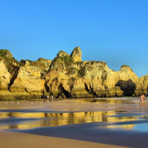 PRAINHA 026ç