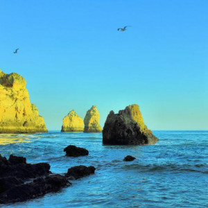 PRAINHA 066