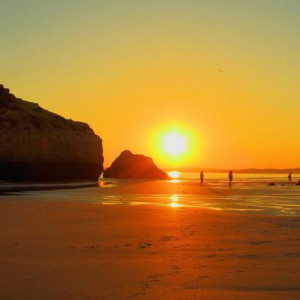 PRAINHA 109z