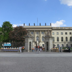 IMG 9037 (Copy)
