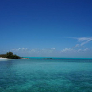 DSC02601