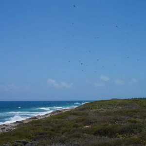 DSC02603