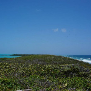 DSC02607