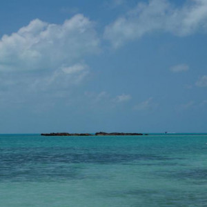 DSC02615