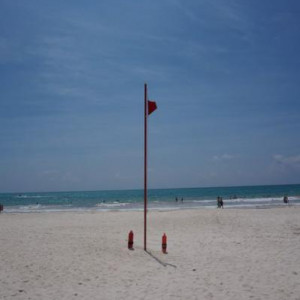 DSC03045