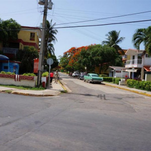 DSC01175