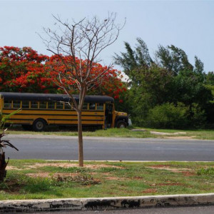 DSC01184