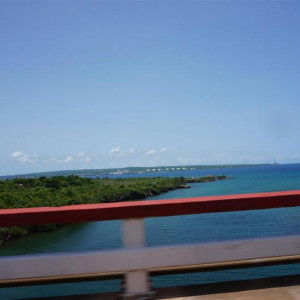 DSC01230