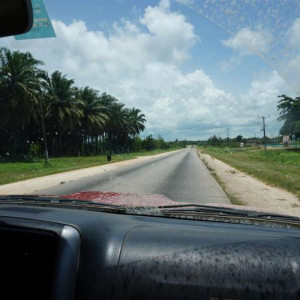 DSC01231