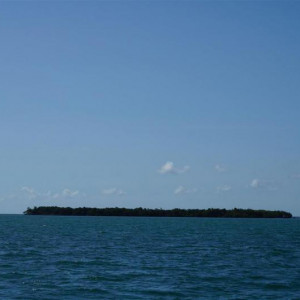 DSC01279