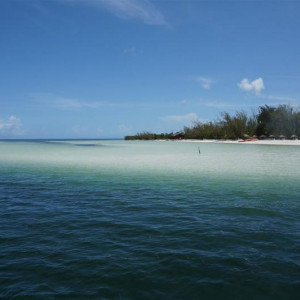 DSC01290