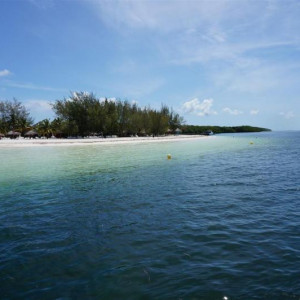 DSC01291