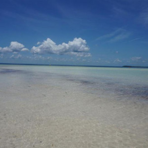 DSC01296