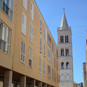 DSC 0446