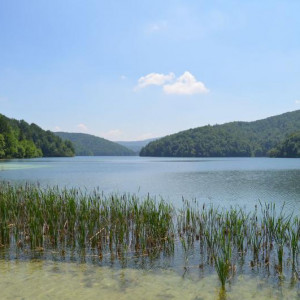 DSC 0500