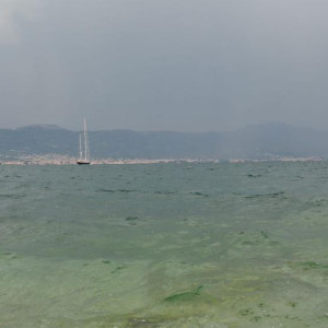 DSC 0828
