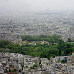 IMG (20)
