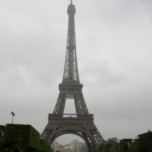 IMG (52)