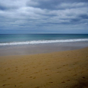 IMG 7821