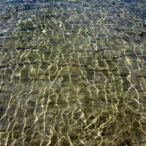 IMG 8094