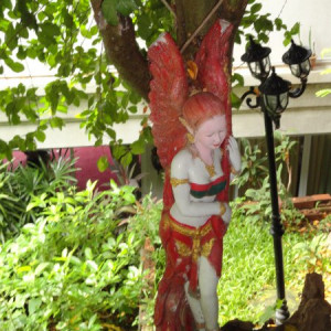 DSC02231